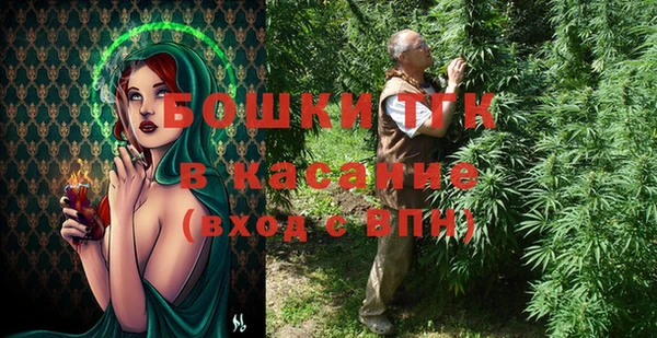 сатива Армянск