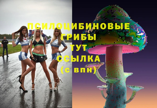 сатива Армянск