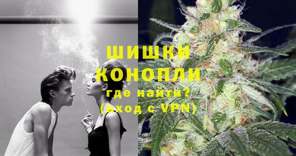 сатива Армянск