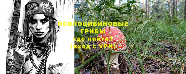 дмт Арсеньев