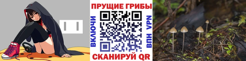 дарнет шоп  Островной  Галлюциногенные грибы GOLDEN TEACHER 